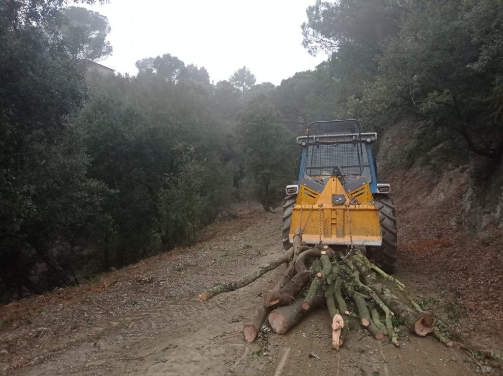 Aprovechamiento forestal de leña