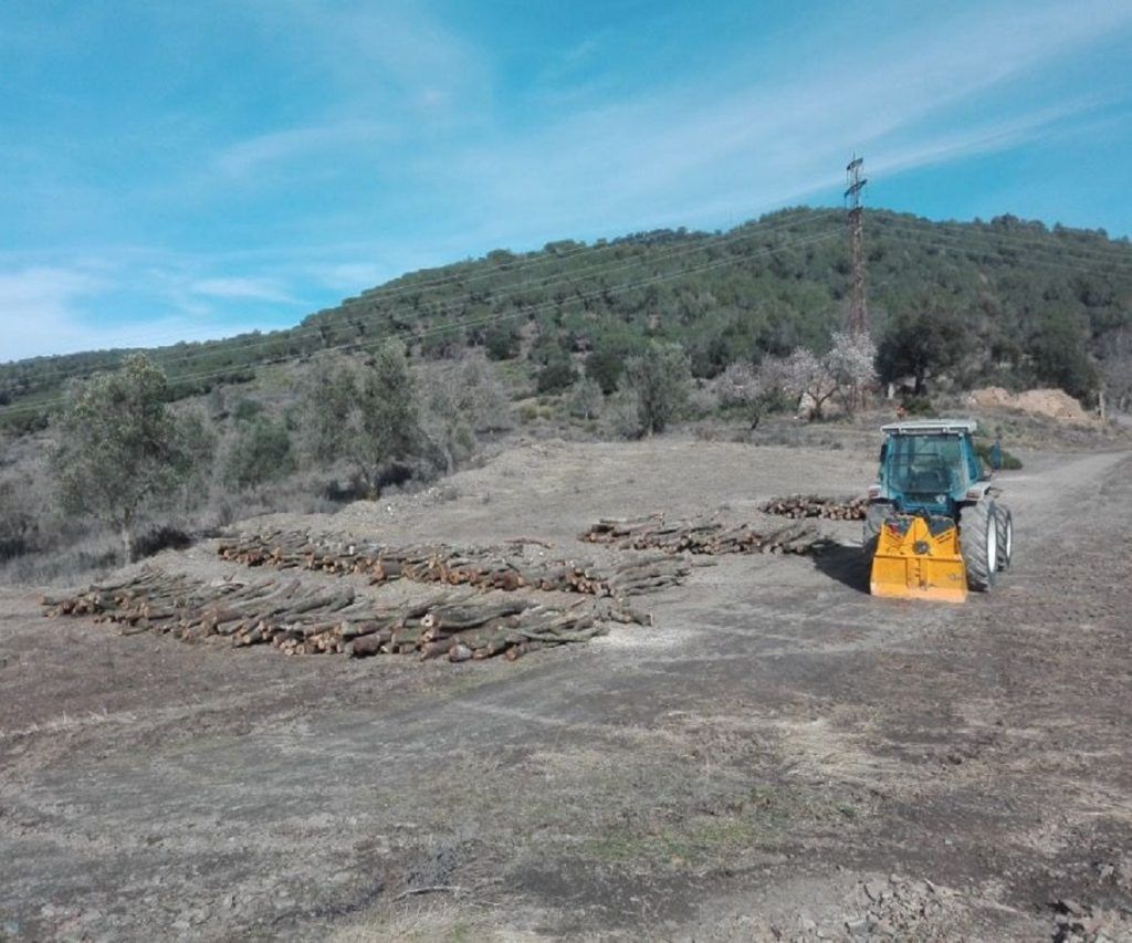 Aprovechamiento forestal de leña en el apartadero