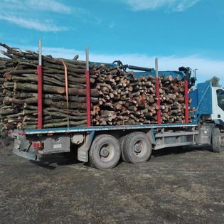 Fincas forestales, camión forestal cargado de leña