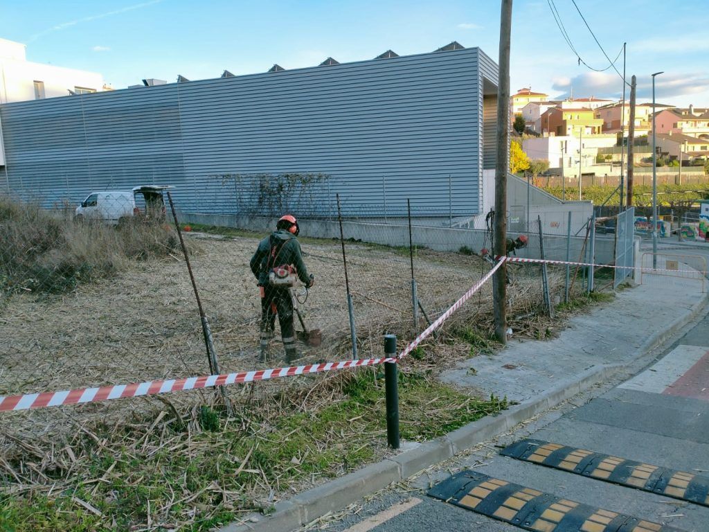 Desbroce de cañas en una parcela municipal