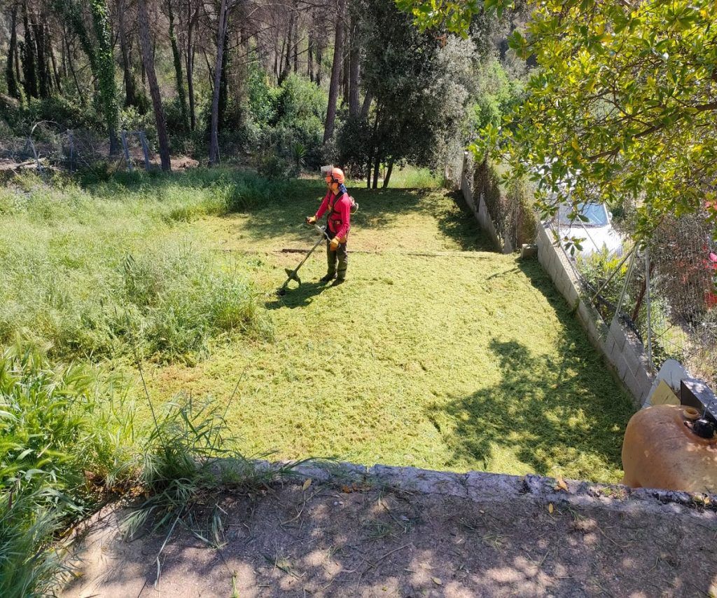 Desbrozando hierba alta en una finca privada