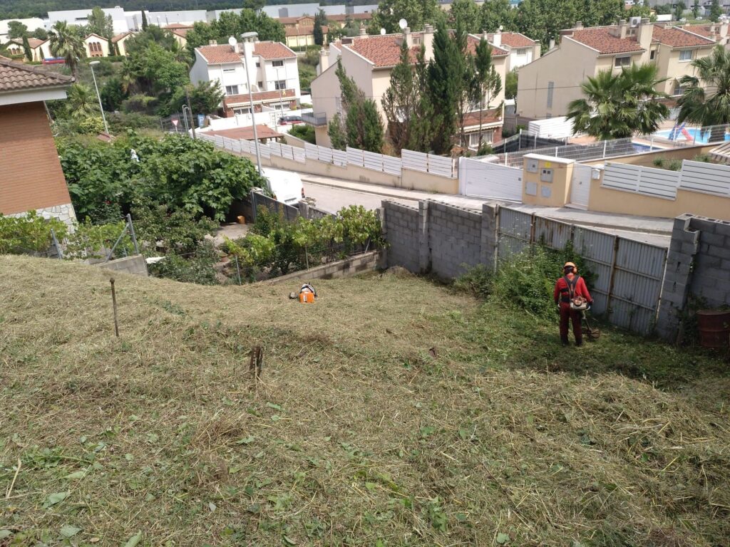 Desbroce de vegetación arbustiva en una parcela privada