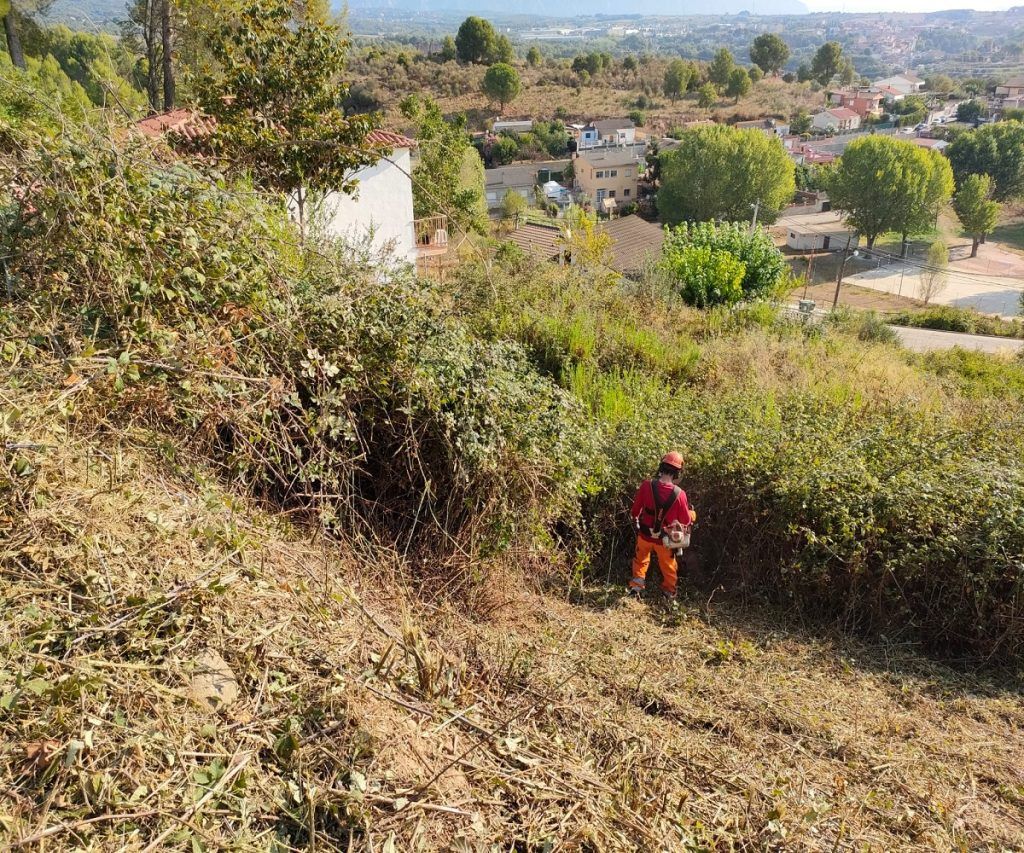 Operario de Forescat desbrozando zarzas en una parcela privada