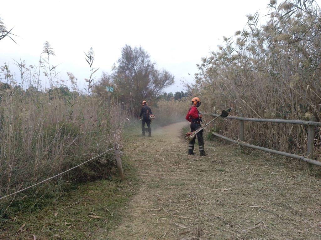 Equipo de 2 personas desbrozando lateral de un camino