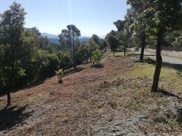 Franja de prevención de incendios desbrozada. Franja de prevención de incendios en una pista forestal