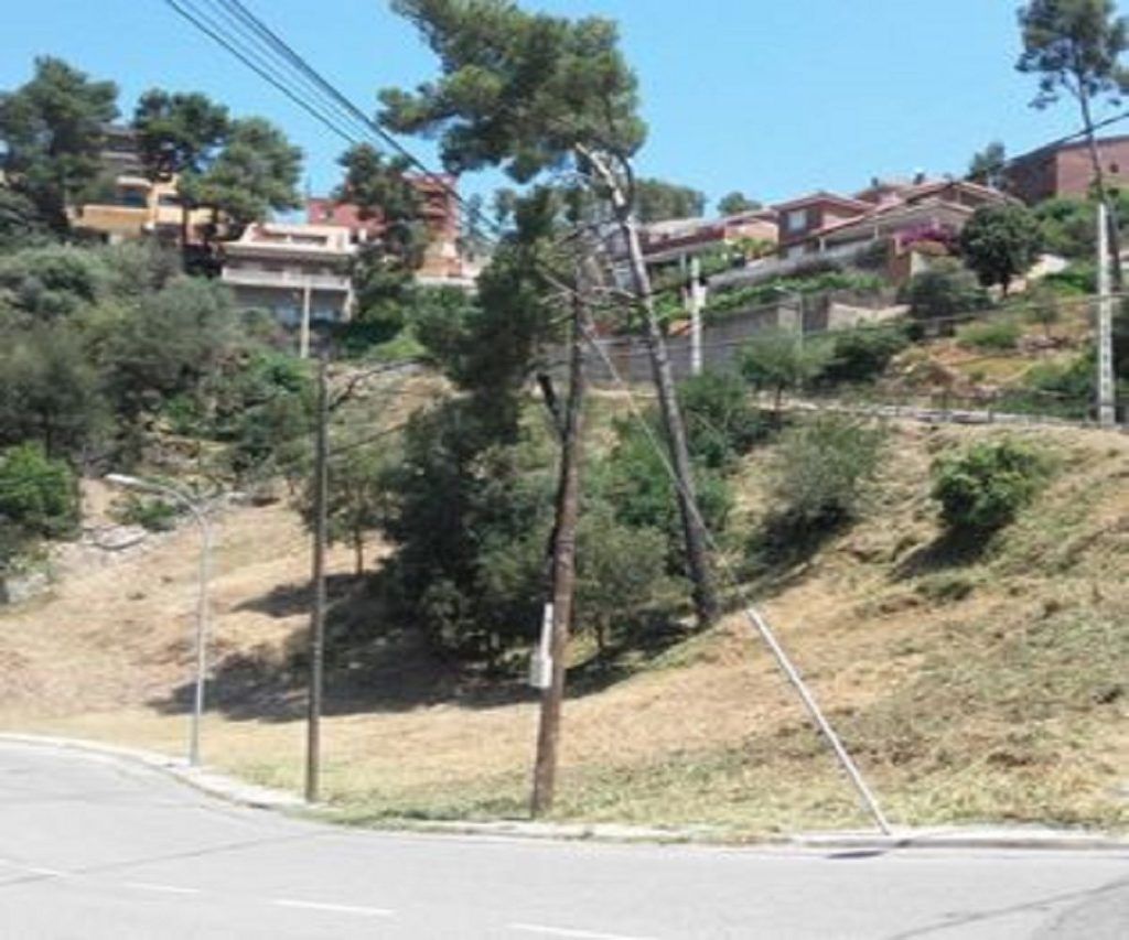 Servicios forestales para la administración pública, parcela municipal desbrozada