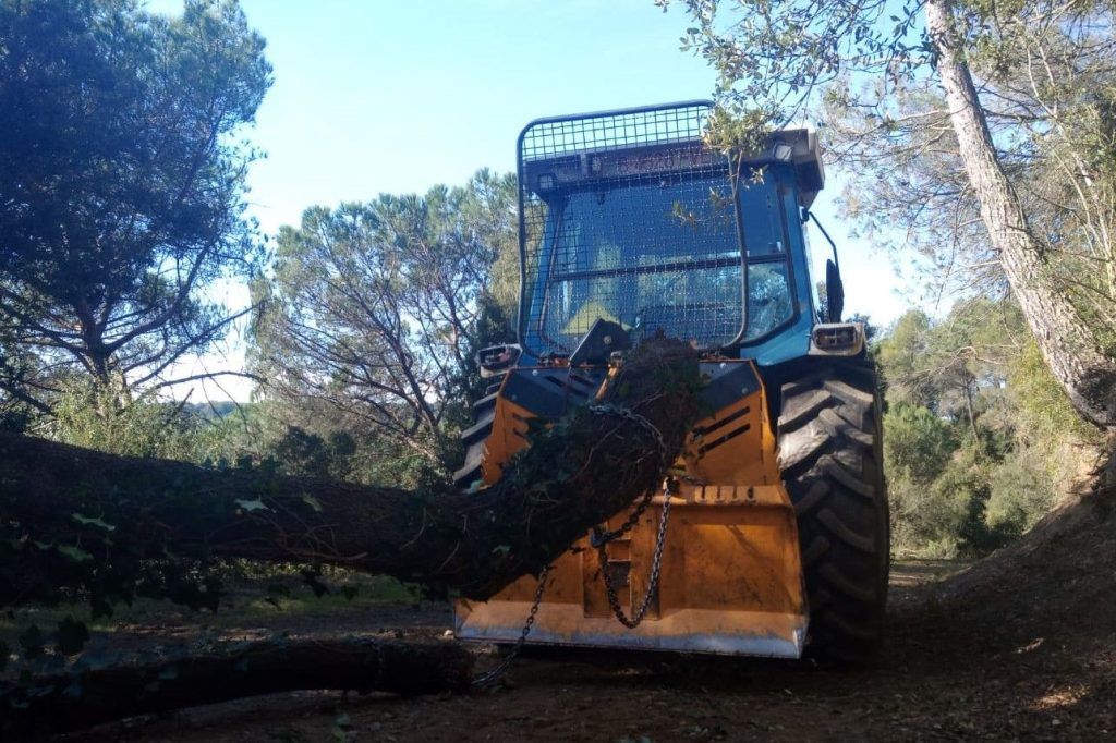 Tractor forestal estirando troncos