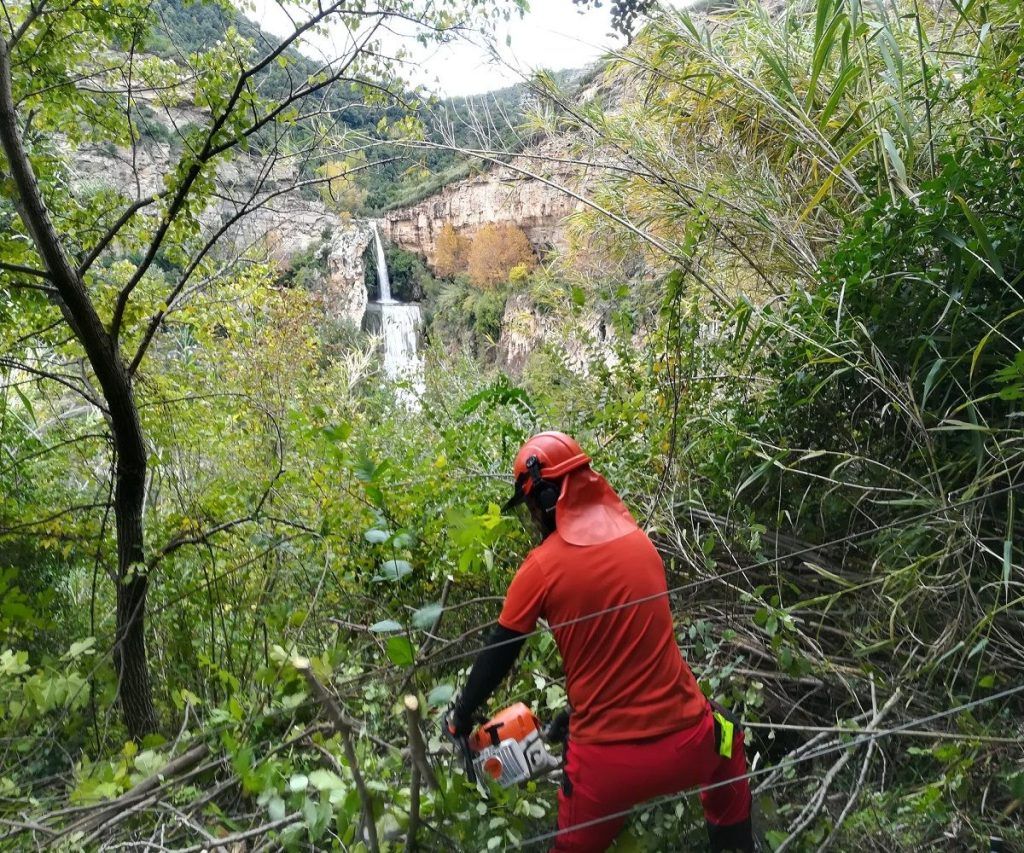 Troceado de vegetación arbustiva con motosierra