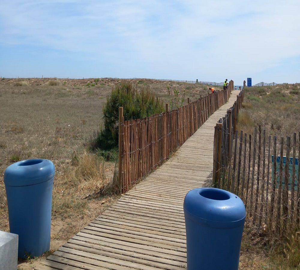 Colocación de vallado de caña en el delta del Llobregat
