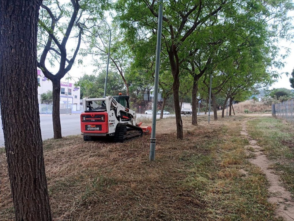 Desbroce forestal con minicargadora