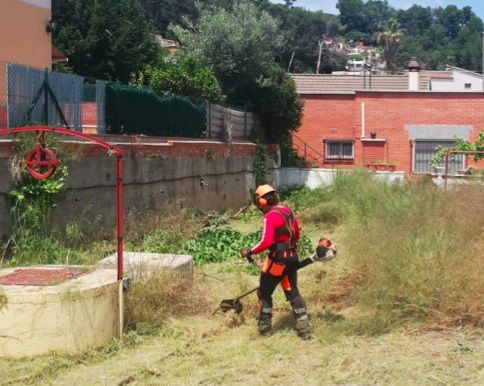 Desbroce de una parcela privada
