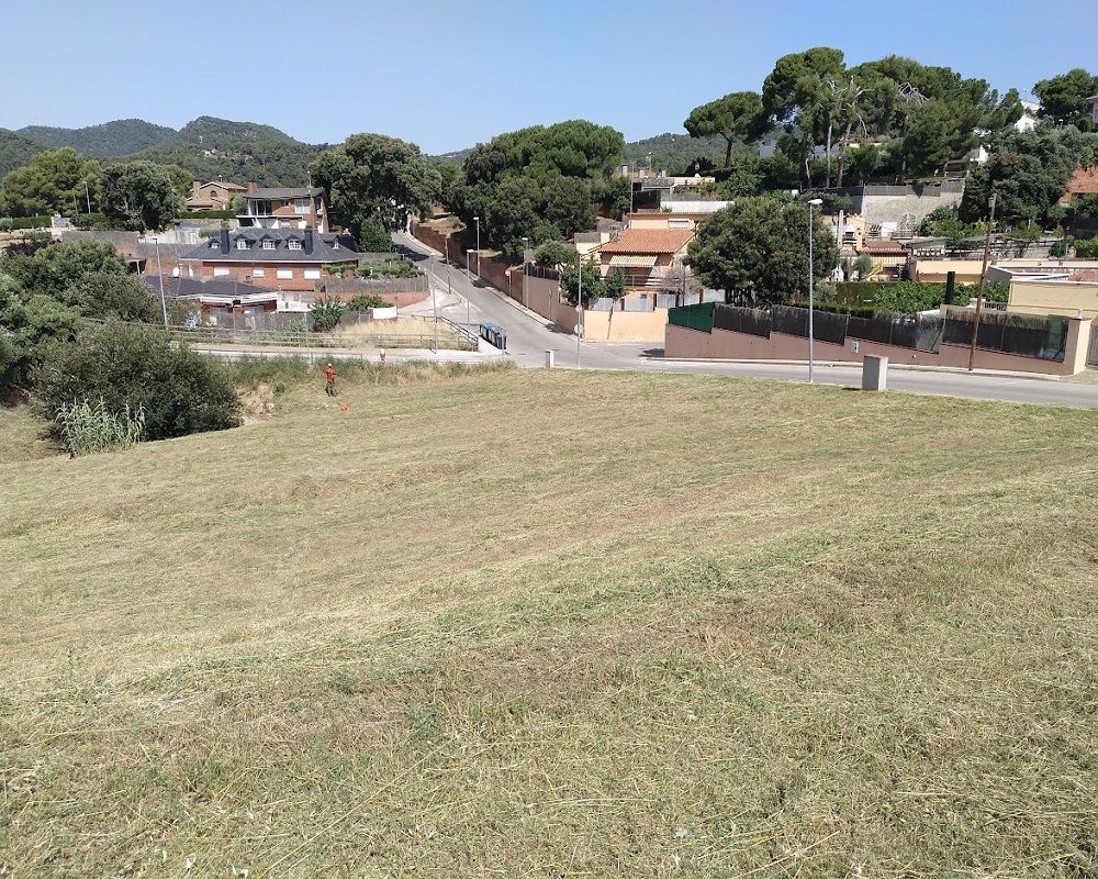 Desbroce de vegetación en Viladecavalls