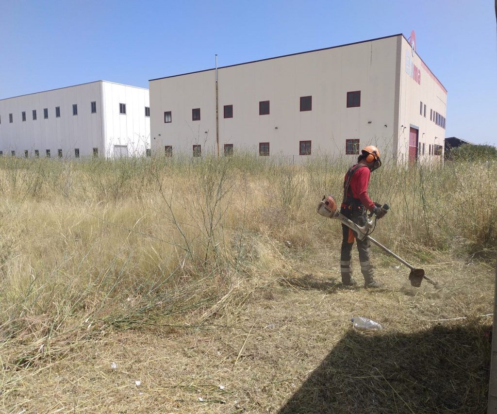 Desbroce del la vegetación en un polígon industrial