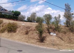 Parcela privada gestionada por Forescat