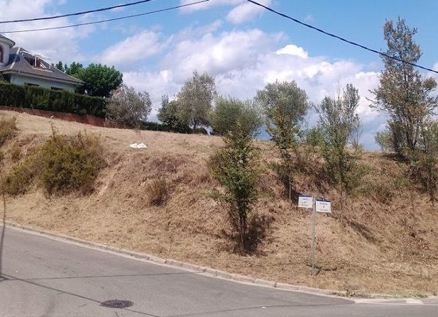Parcela privada bien gestionada