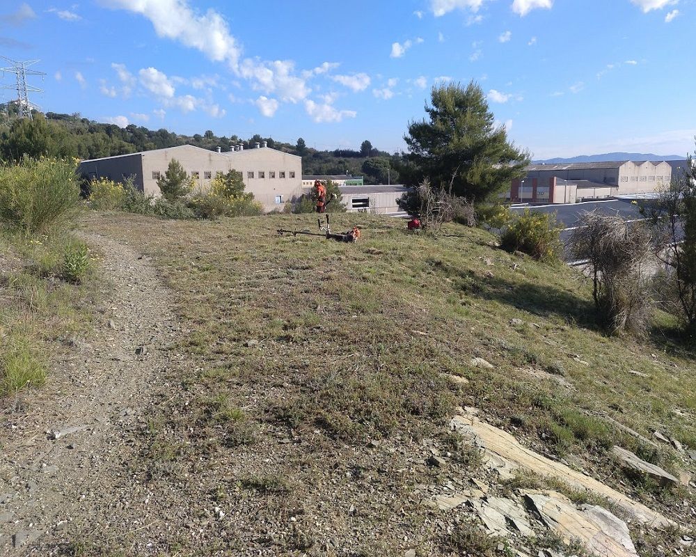 Trabajos de desbroce en Sant Boi