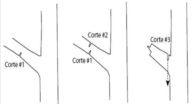 Tipos de corte de poda correcta