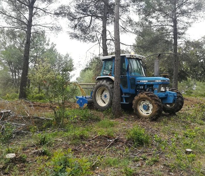 Tractor forestal