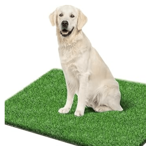 Cesped para perros