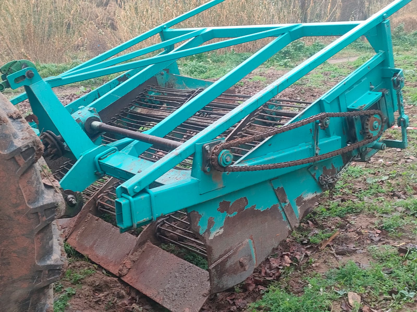 Tractor con cribadora. Permite separar las raíces rizomas y restos no deseados de la tierra.