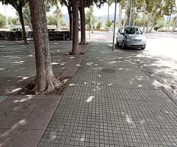 Soporte a la brigada con desbroce aceras