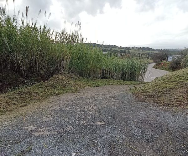 Soporte a la brigada de servicios municipal