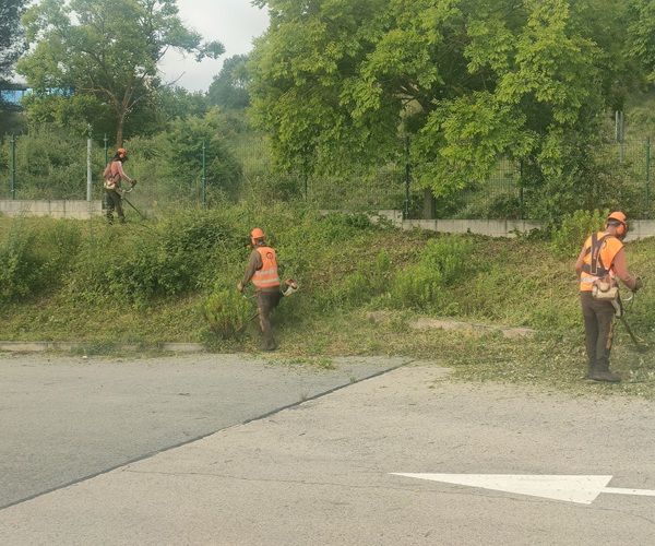 LIMPIEZA DE PARCELAS PARA CUMPLIR CON LA NORMATIVA DE PREVENCIÓN DE INCENDIOS