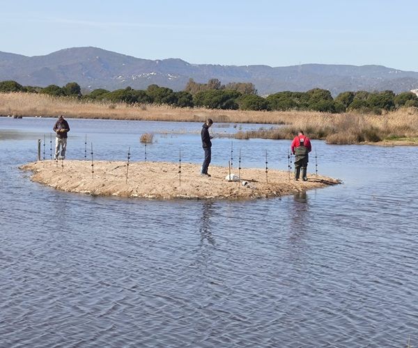 TRABAJOS FORESTALES EN HUMEDALES Y DELTAS