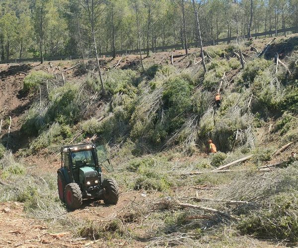 Trabajos de obertura y mantenimiento de franjas perimetrales